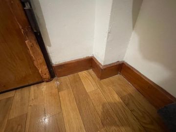 Plant -Caregiver - Home Improvements