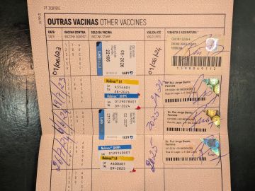Pension pour chiens - Animaux