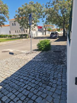 Jardinagem e Relvados