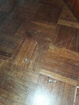 Técnico de Pisos em Madeira