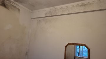 Interior Painting - Painting