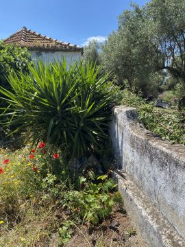 Gardening - Lawncare