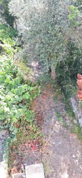 Serviço de Jardinagem