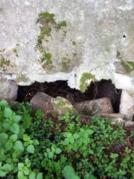 Construtor de Muros - Casa