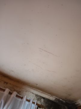 Pintor de Interiores - Casa