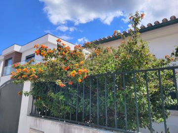 Jardinagem e Relvados