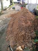 Backhoe Specialist
