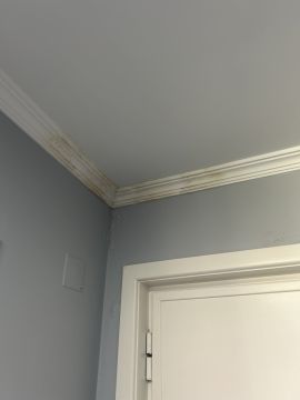 Pintor de Interiores