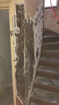 Especialista em Escadas
