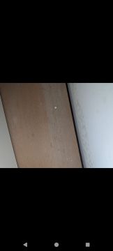Carpentry and Woodworking