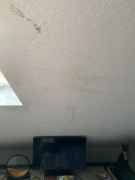 Especialista de Reparação de Telhados - Casa