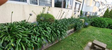Serviço de Jardinagem