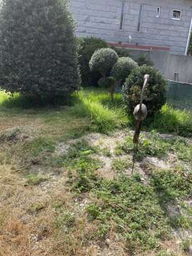 Lawncare