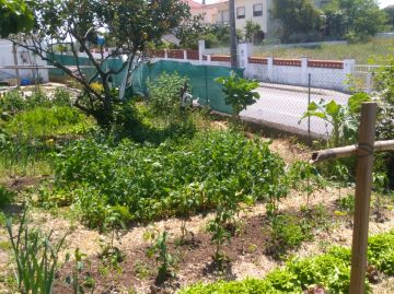 Jardinagem e Relvados
