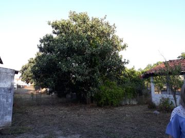 Avaliador de Imóveis - Serviços Variados