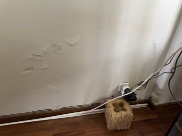 Interior Painter