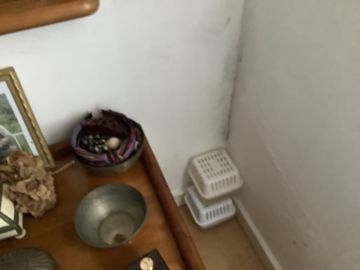 Walls, Framing, and Stairs