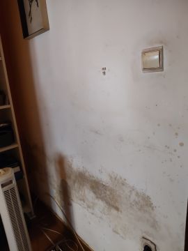Pintura de Interiores
