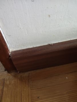 Especialista em Colocação de Rodapés - Casa