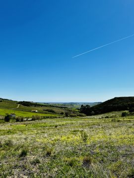 Paisagismo Exterior