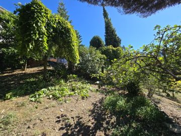 Jardinagem