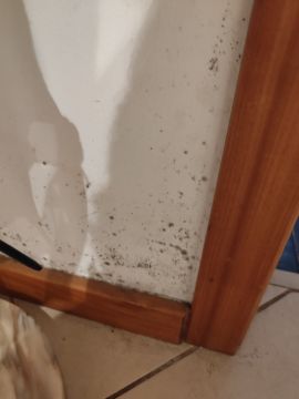 Pintura de Casas