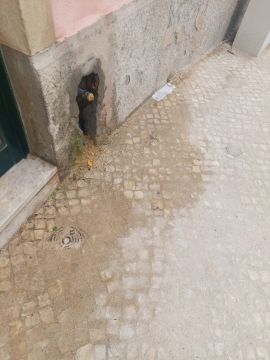 Canalizador