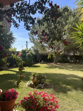 Jardinagem