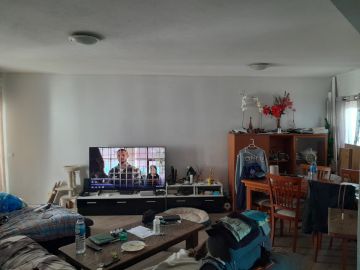 Drywall specialist