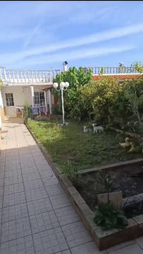 Serviço de Jardinagem
