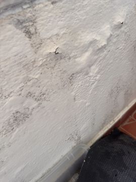 Pintor de Casas