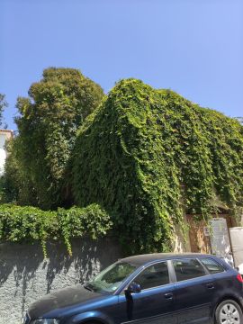 Jardinagem e Relvados