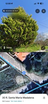 Limpeza de Terrenos