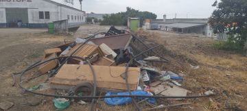 Especialista em Remoção de Lixo e Entulho - Casa