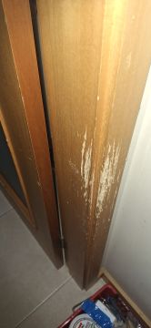 Carpentry and Woodworking