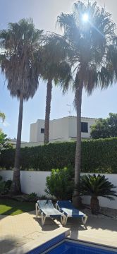 Podador de Árvores