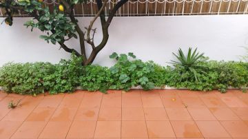 Jardinagem - Jardinagem e Relvados