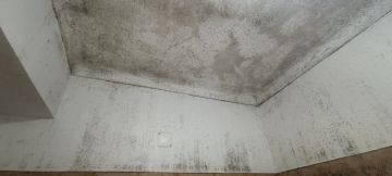 Especialista de Obras - Casa