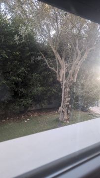 Jardinagem