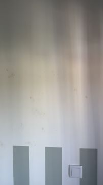 Pintor de Interiores