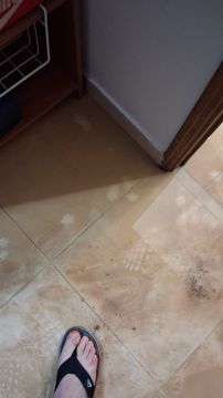 Especialista de Limpeza - Serviços Domésticos