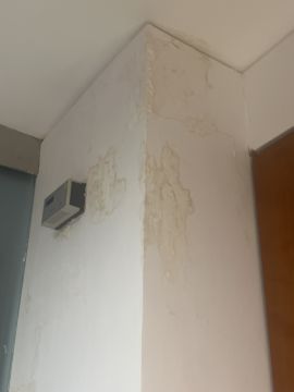 Pintor de Interiores