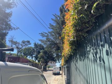 Jardinagem e Relvados