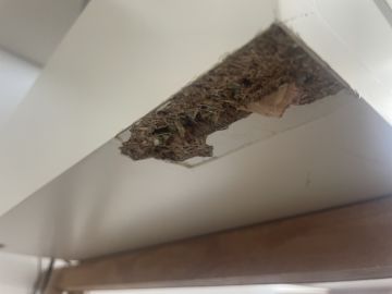 Especialista de Reparação de Móveis - Casa