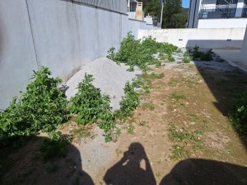 Empresa de Relva Artificial - Casa