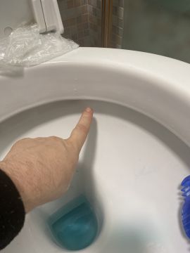 Toilet Repair