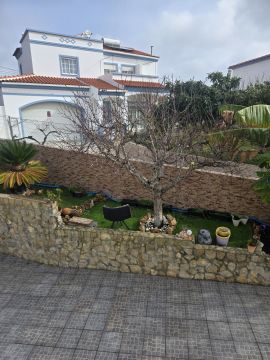Tree Trimming and Maintenance