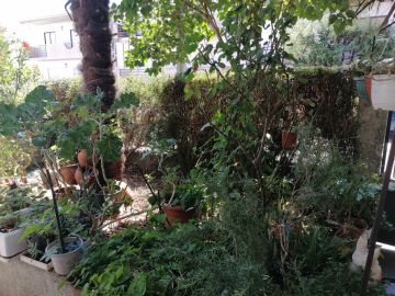 Jardinagem