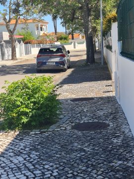 Poda e Manutenção de Árvores
