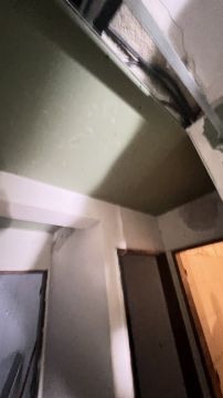 Drywall specialist